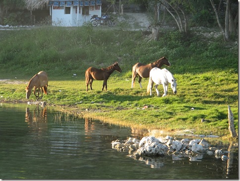 El Remate 009 El Remate 009