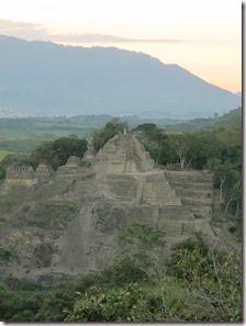 Tonina 020 Tonina 020