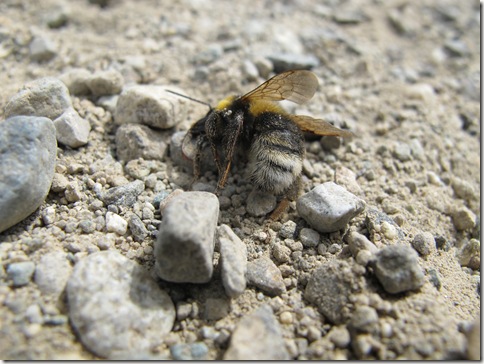 Bariloche to Esquel 001