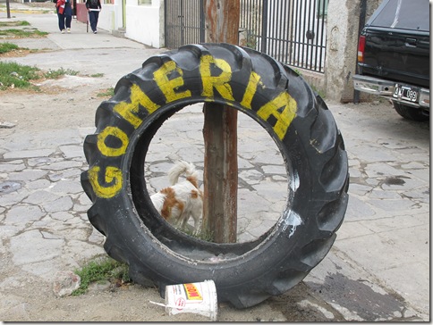 Bariloche to Esquel 005