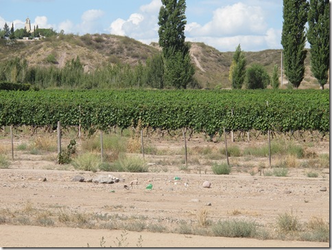 Border to Mendoza 010