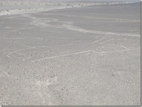 Nazca 002