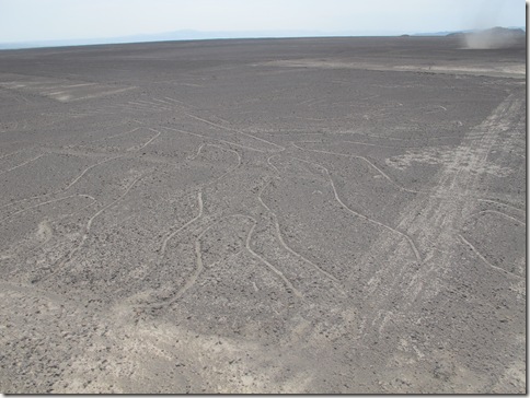 Nazca 003