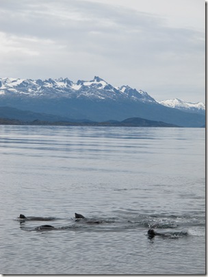 Beagle Channel 037