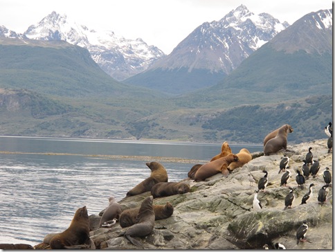 Beagle Channel 048