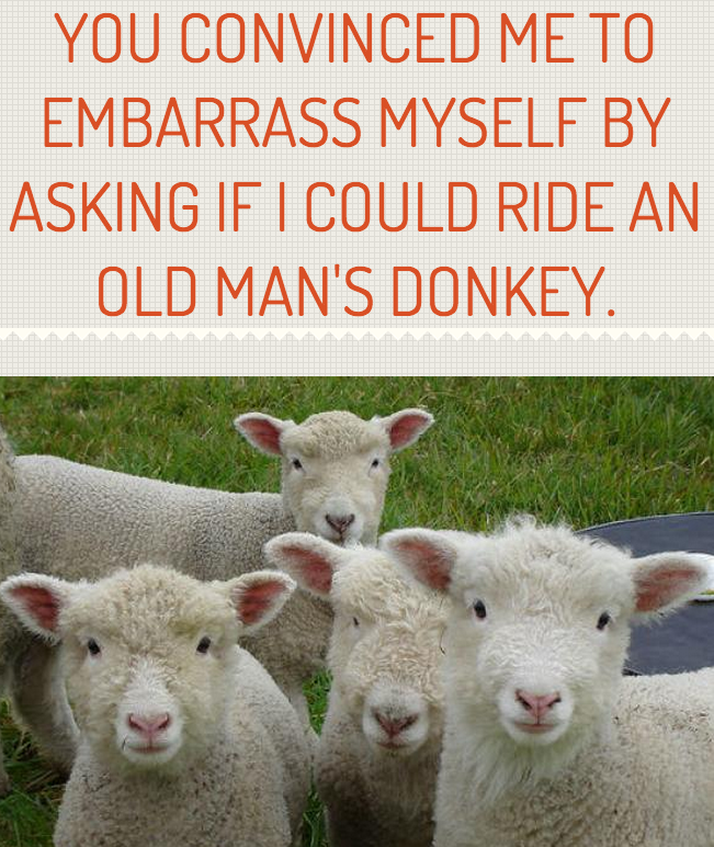 click on the picture to see the full story!