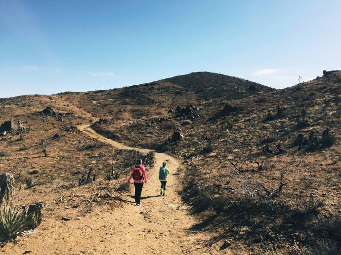 November - JTNP Hiking