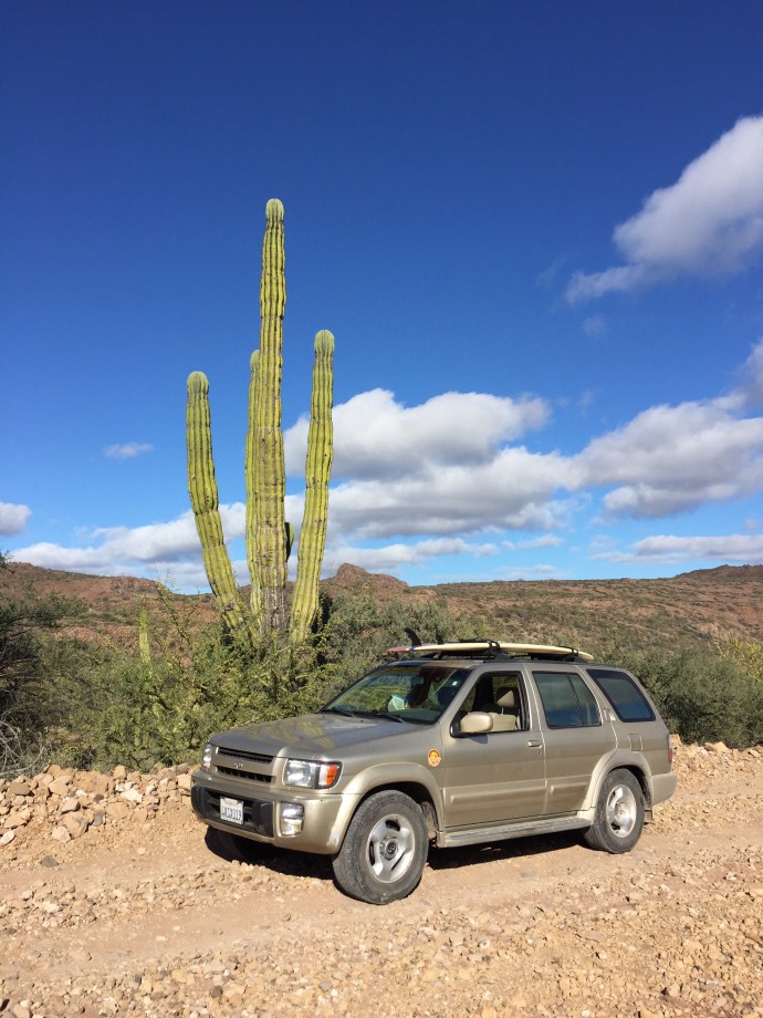 Baja Cactus QX4